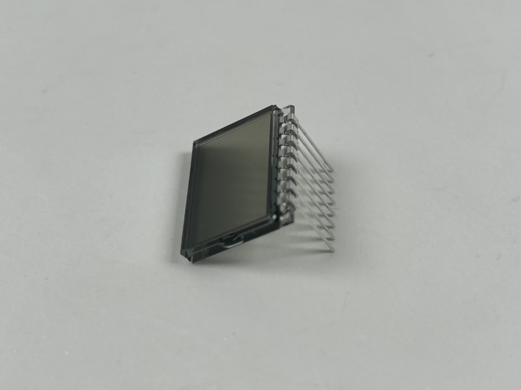 3.0 V Прозитивный ТН ЖК-дисплей Сегмент Кодовый экран Настраиваемый обучающий воротник для собак