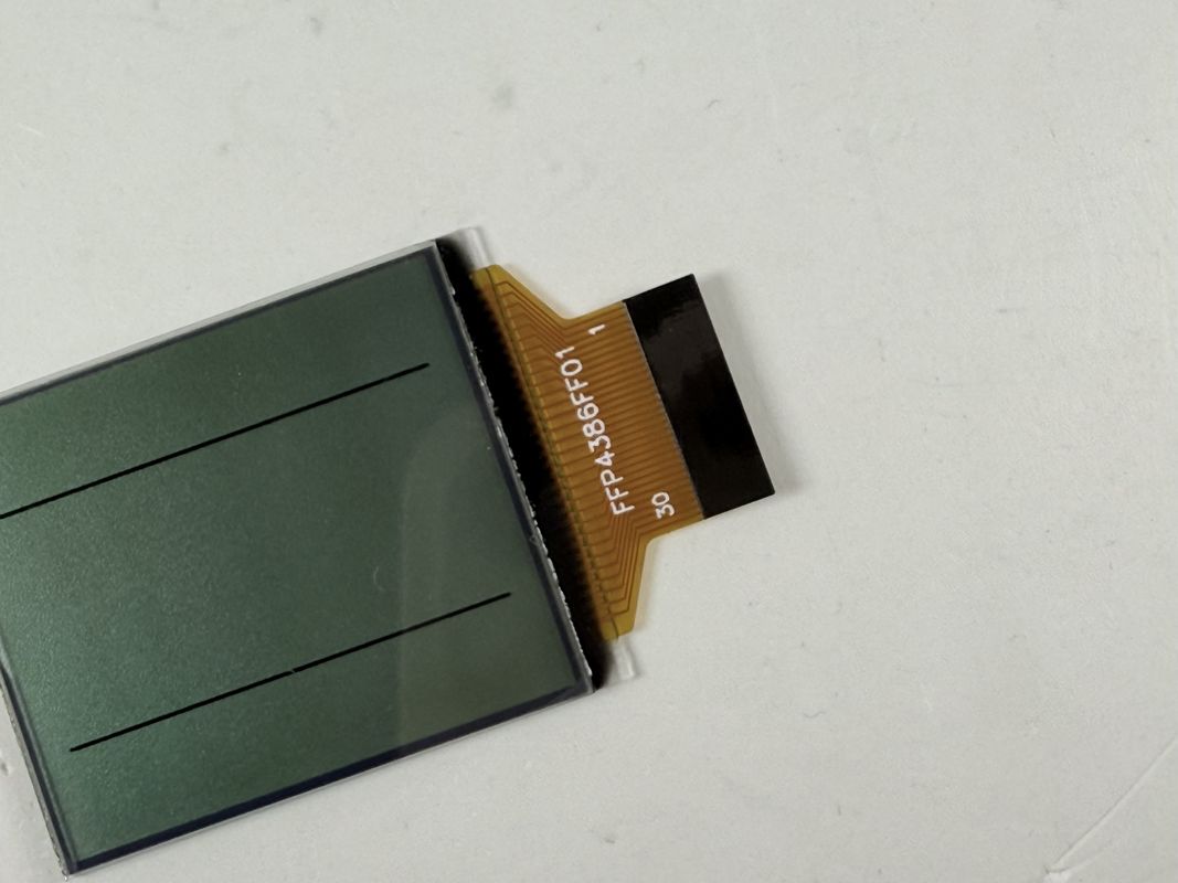 Пользовательский FSTN Черно -белый ЖК -дисплей | Монохромный сегмент ЖК -дисплей для промышленных и электронных применений