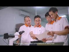 Дунгуань Фаншэн ЛСД Ко., Лтд.